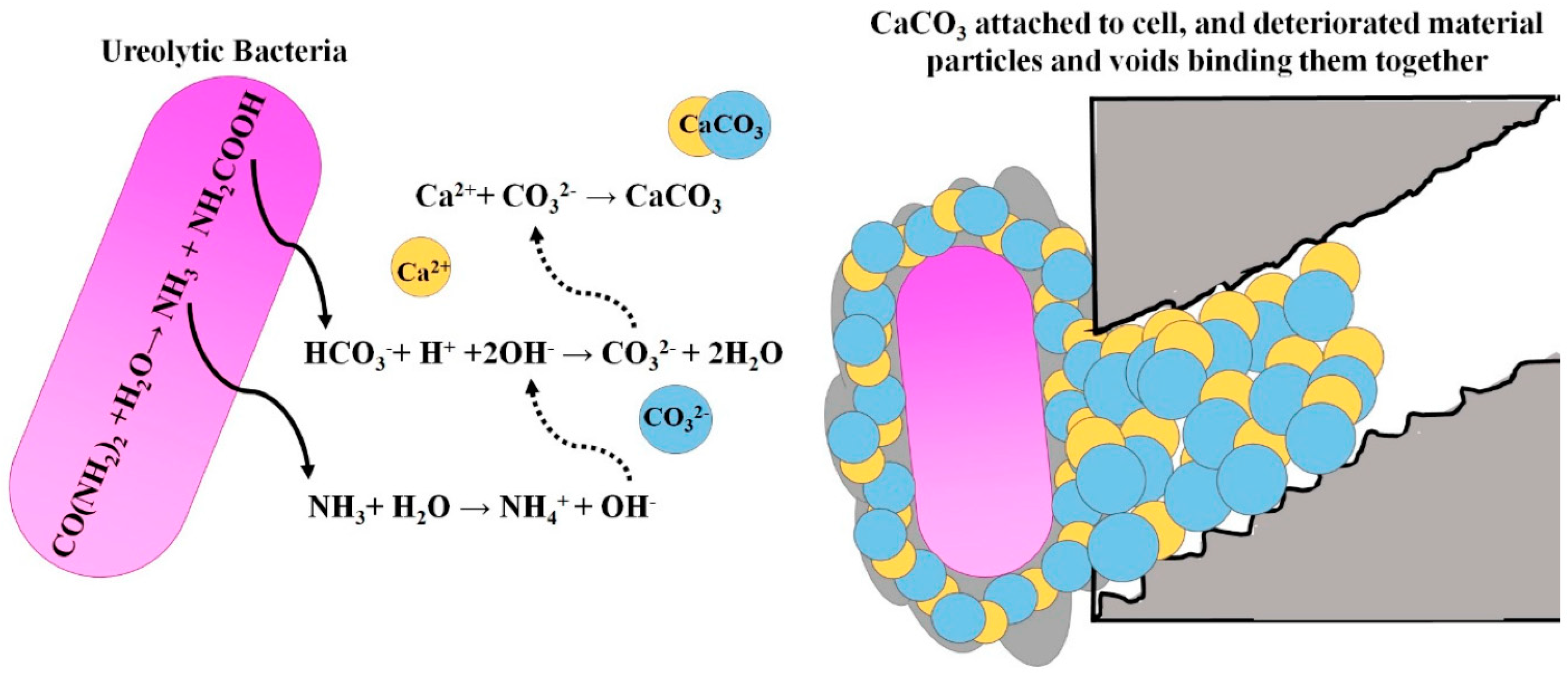Applsci 13 05528 g002