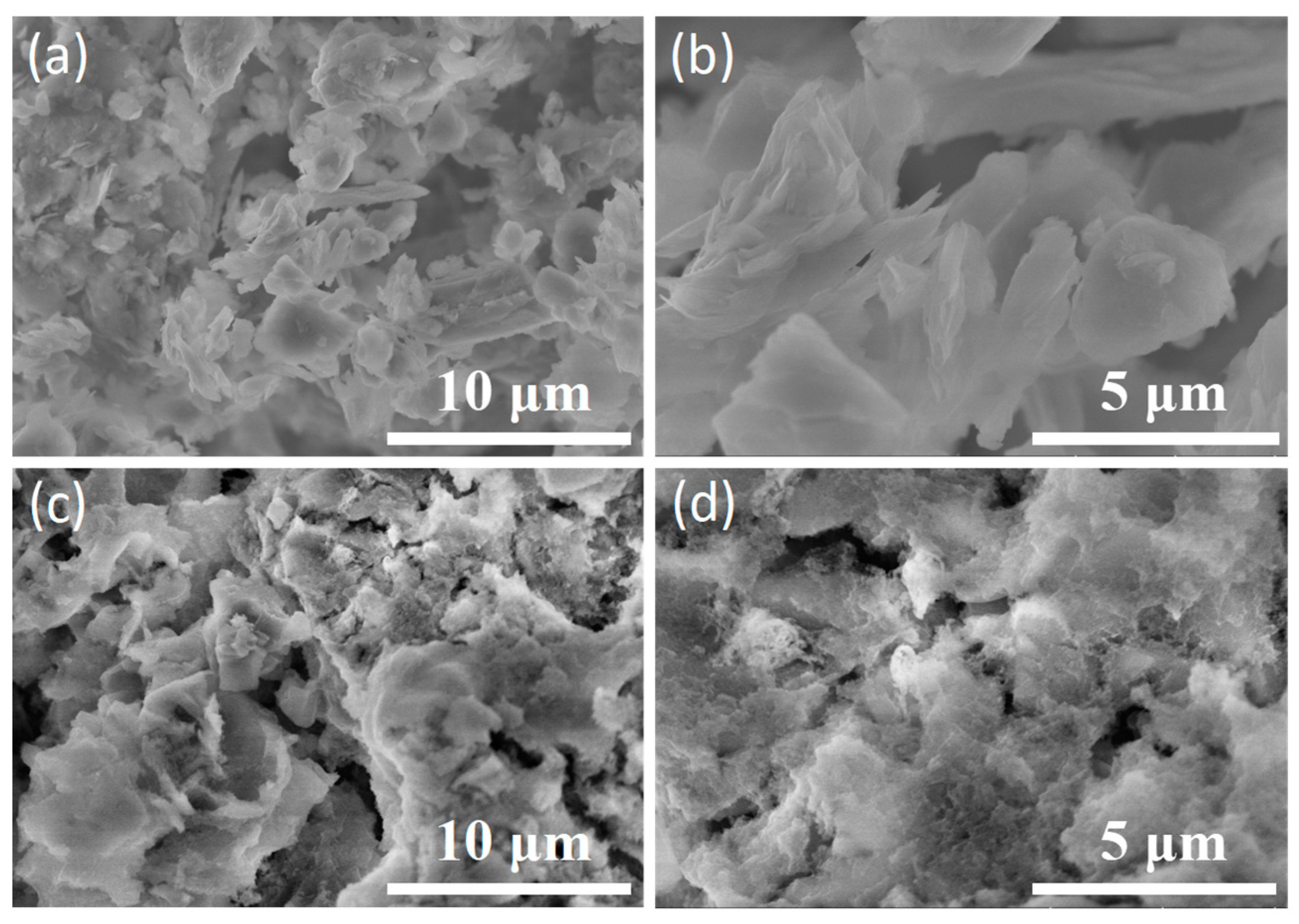 Applsci 13 05551 g002