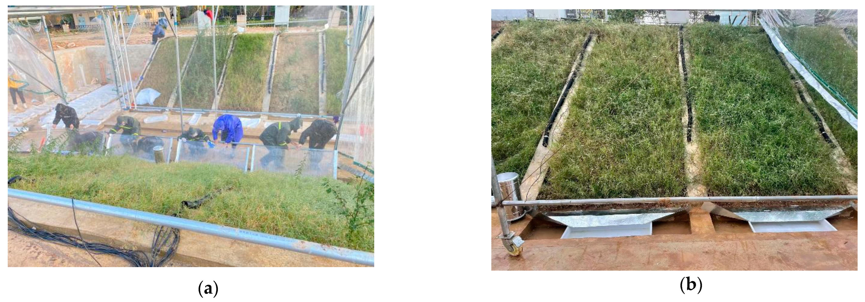 Applsci 13 05557 g005 Applsci 13 05557 g005