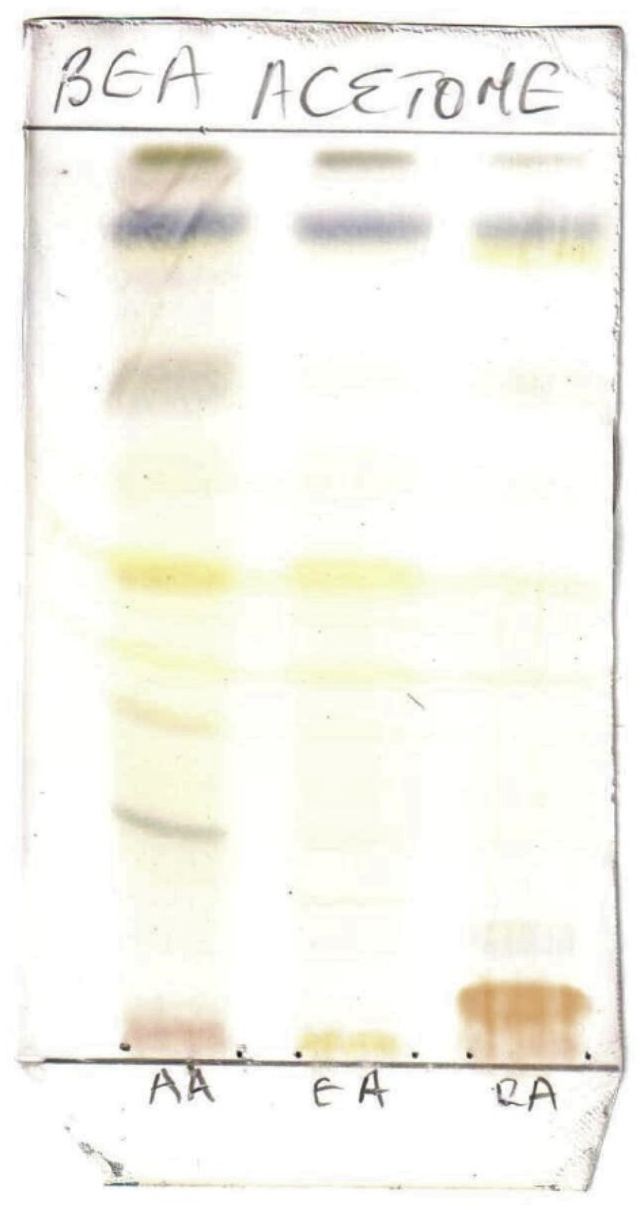 Applsci 13 05560 g001