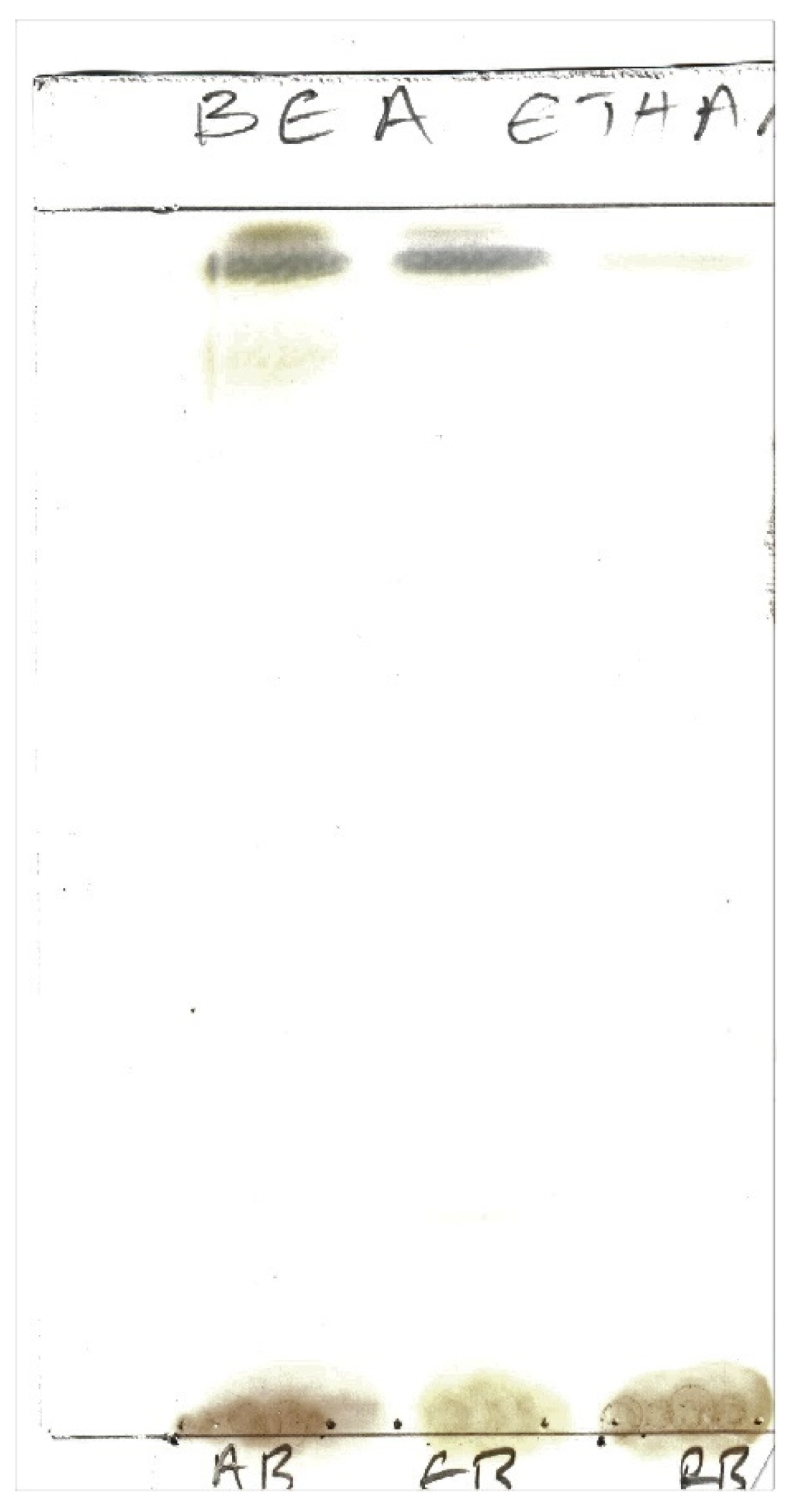 Applsci 13 05560 g002