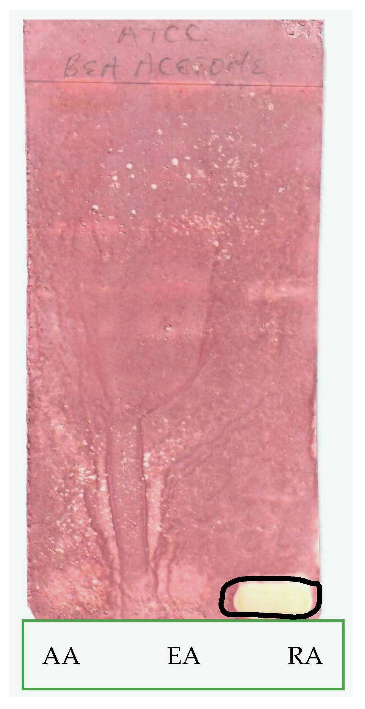 Applsci 13 05560 g003