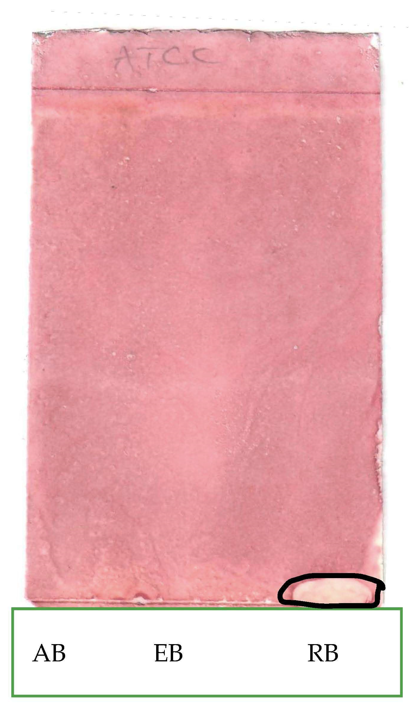 Applsci 13 05560 g004