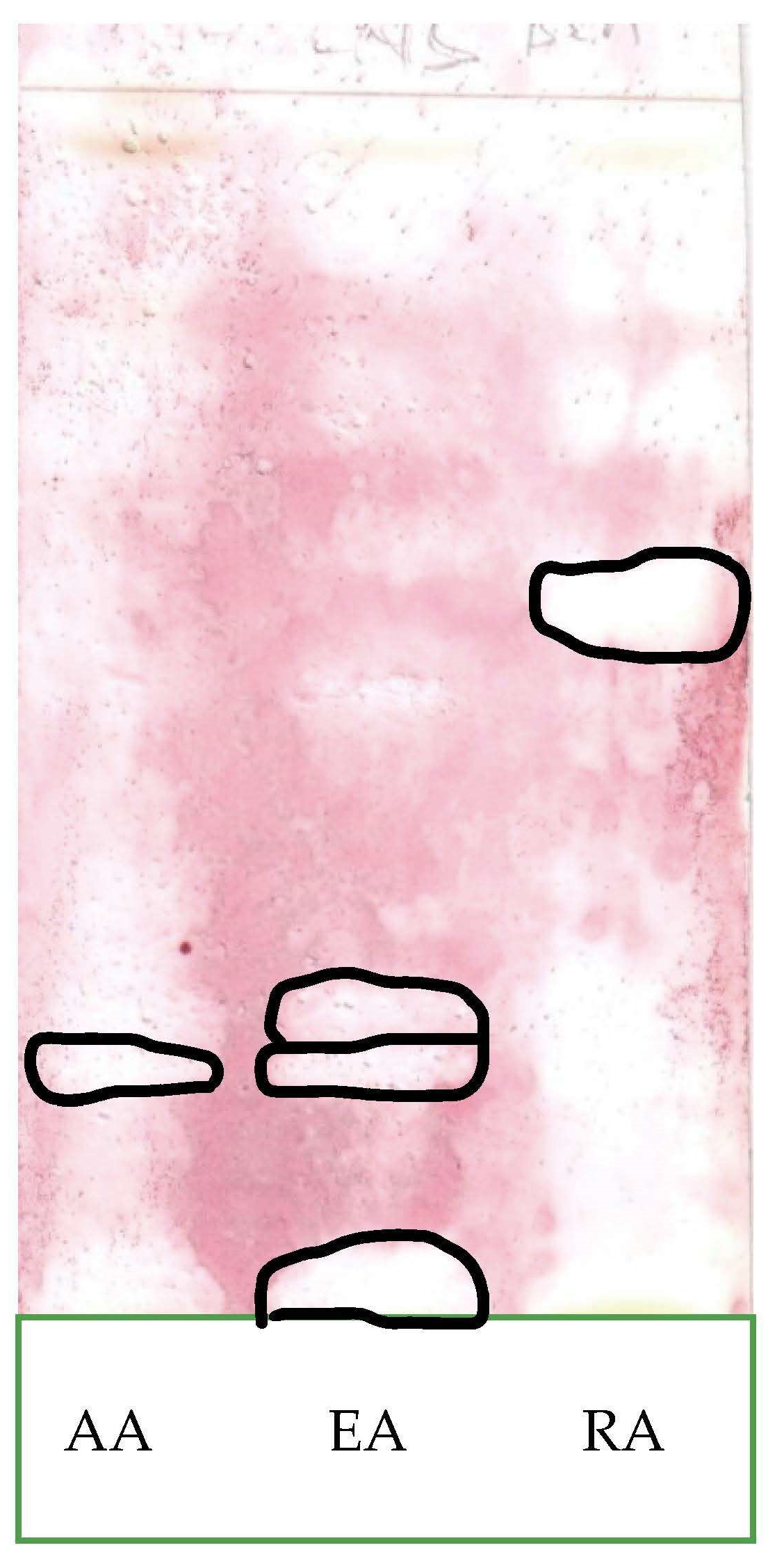 Applsci 13 05560 g005