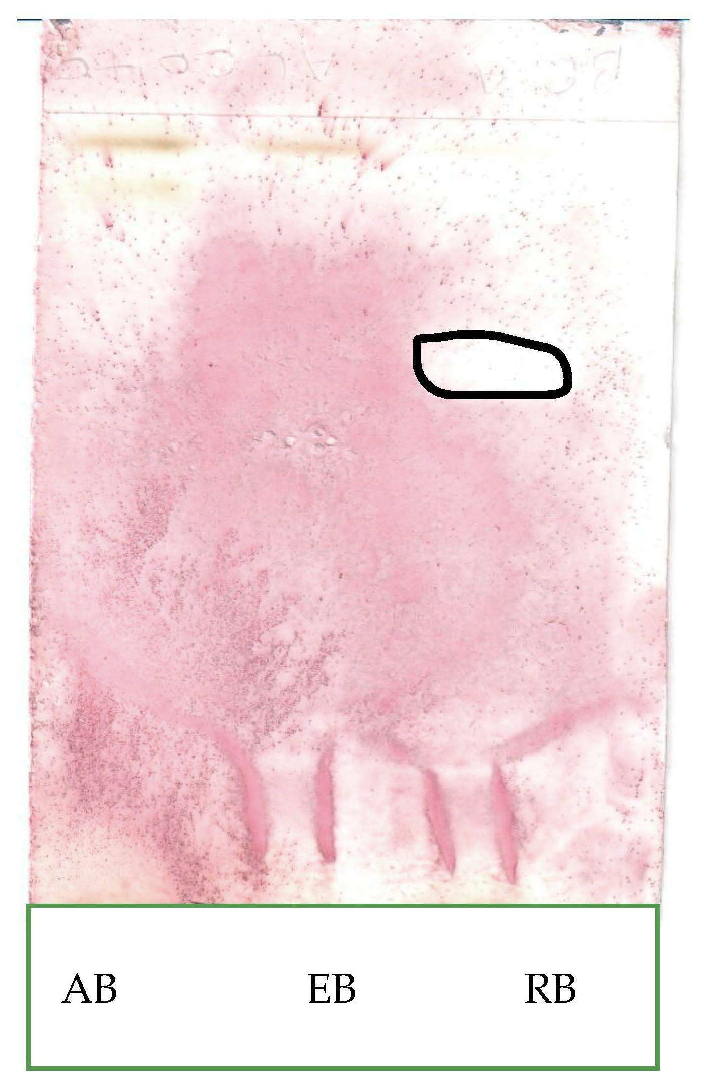 Applsci 13 05560 g006