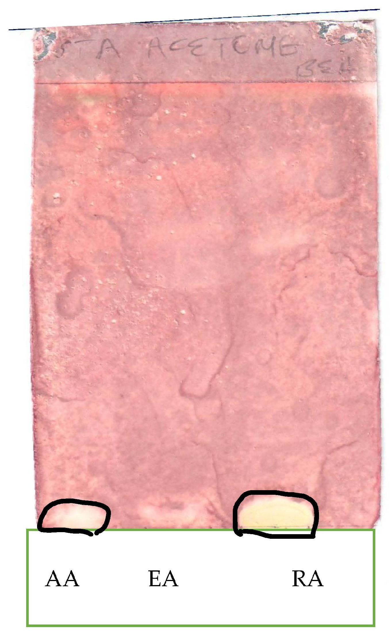 Applsci 13 05560 g007