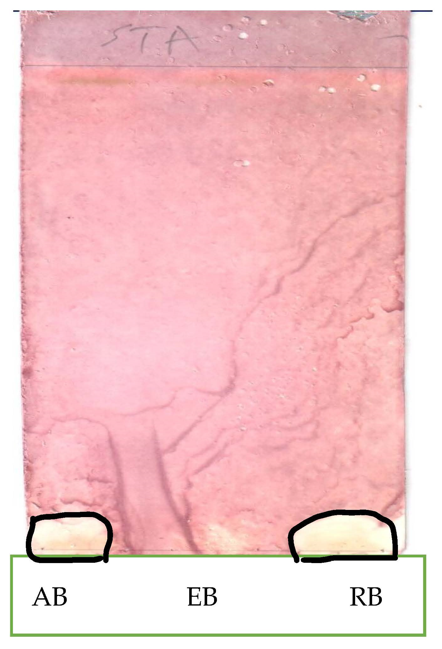 Applsci 13 05560 g008