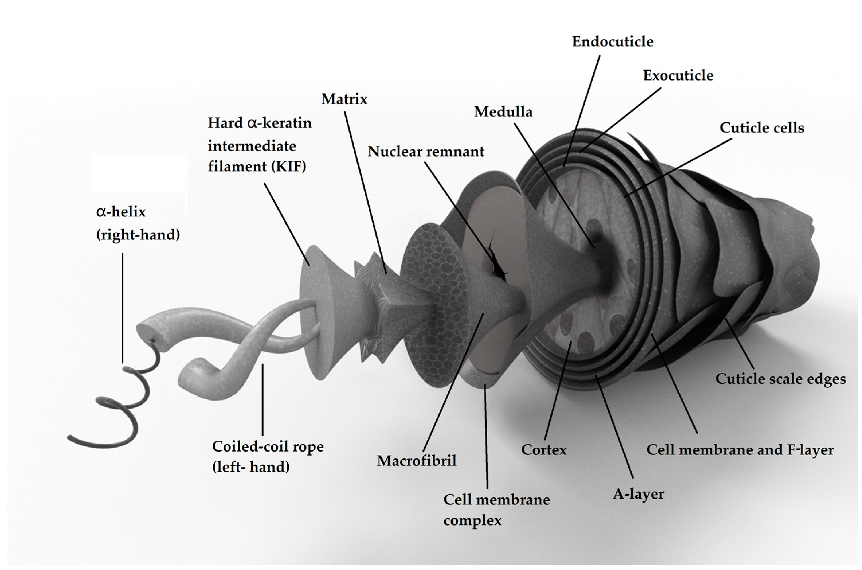 Applsci 13 05577 g001