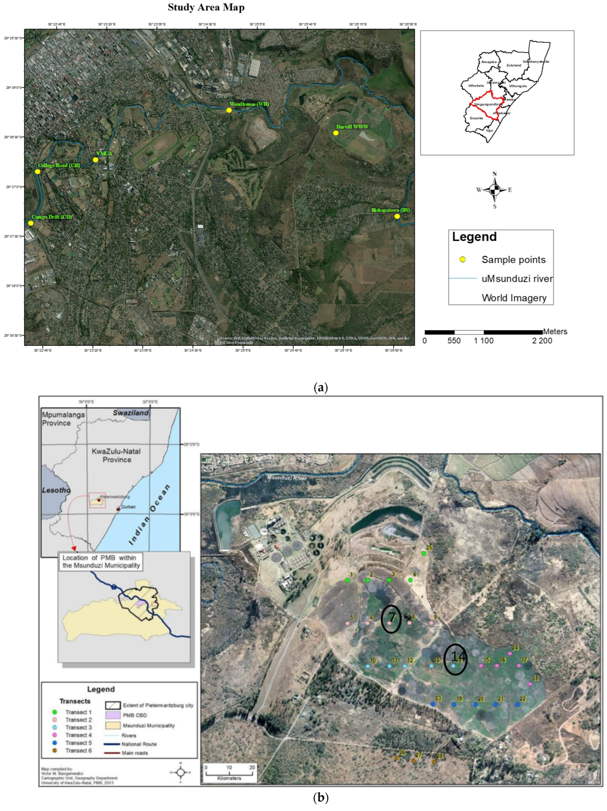 Applsci 13 05619 g001