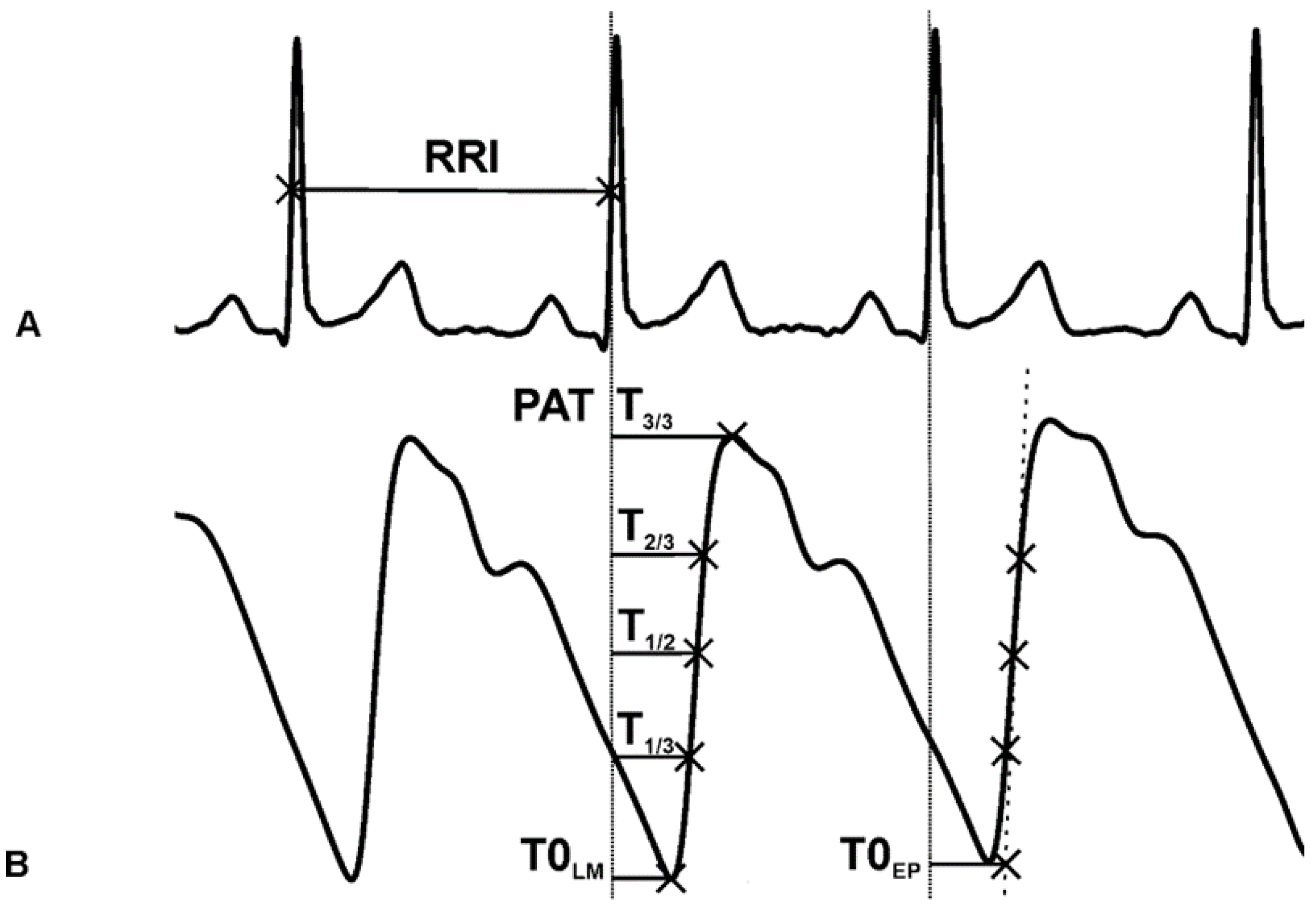 Applsci 13 05642 g003