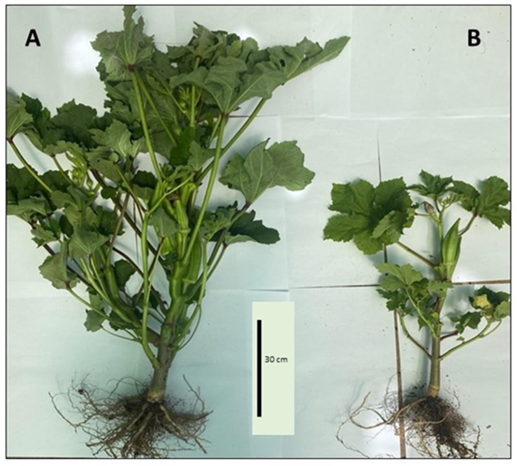Applsci 13 05645 g001