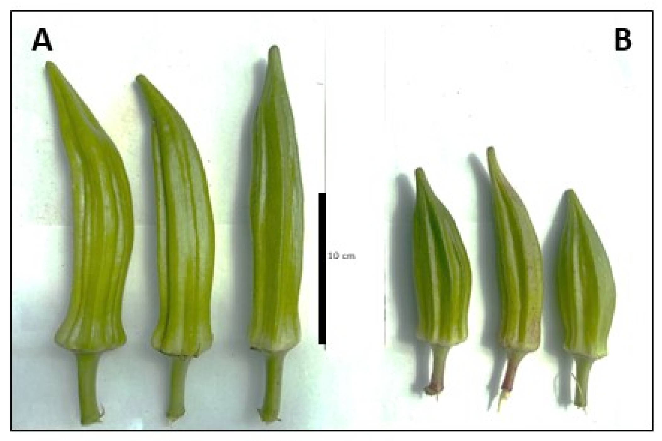 Applsci 13 05645 g004