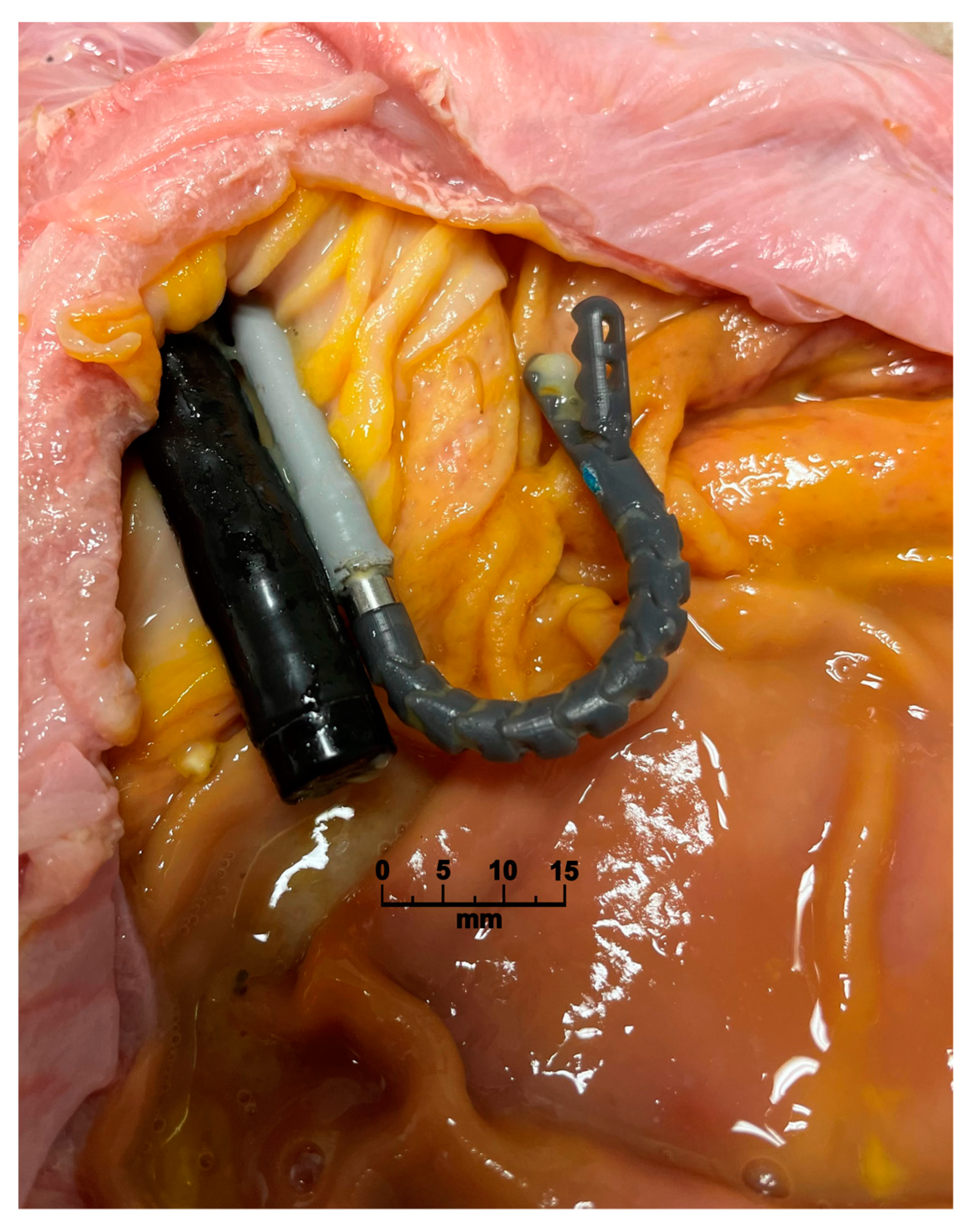 Applsci 13 05656 g004