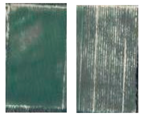 Applsci 13 05666 i004