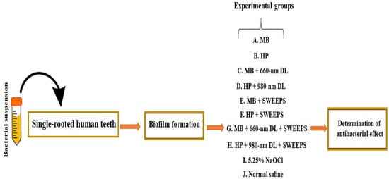 Applsci 13 05668 g002