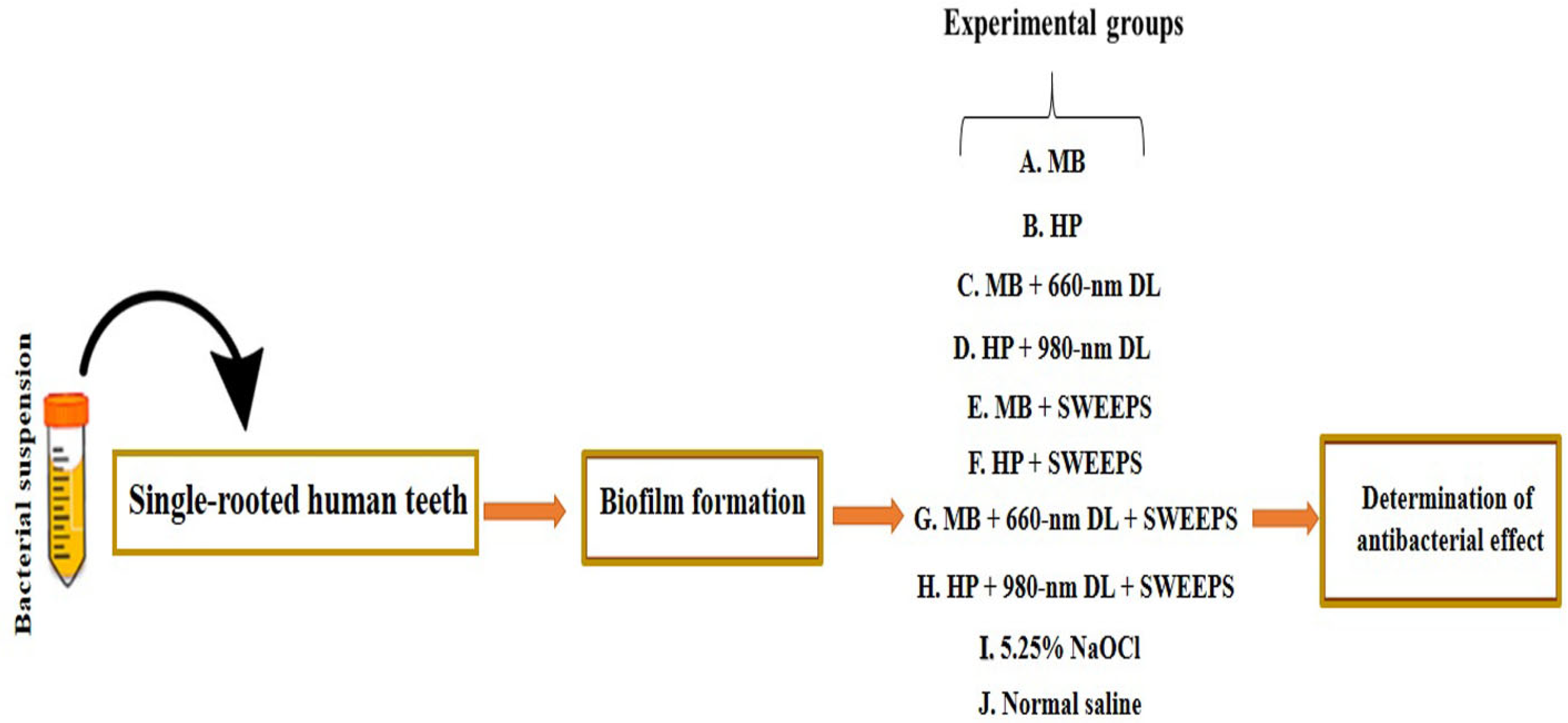 Applsci 13 05668 g002