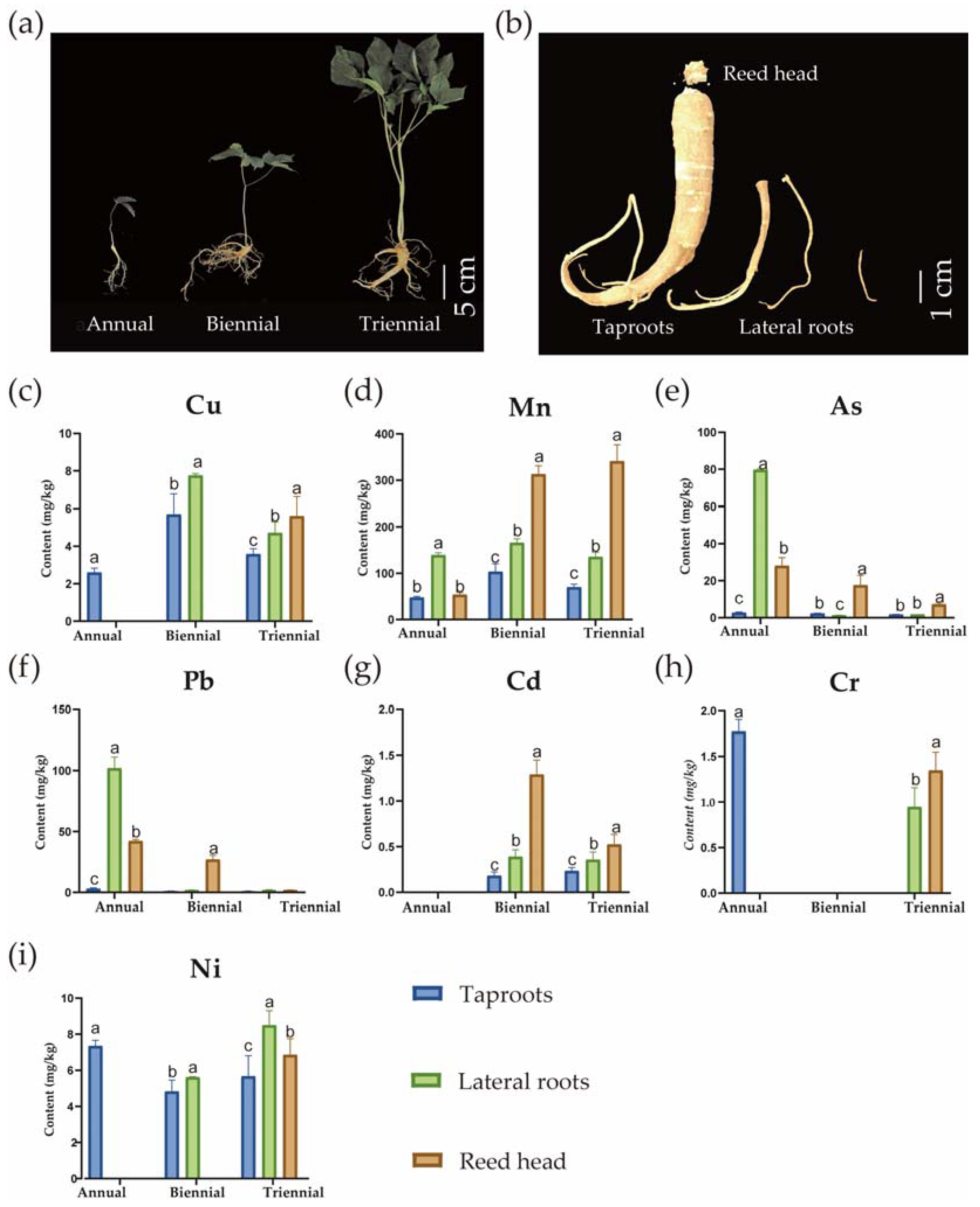 Applsci 13 05676 g001