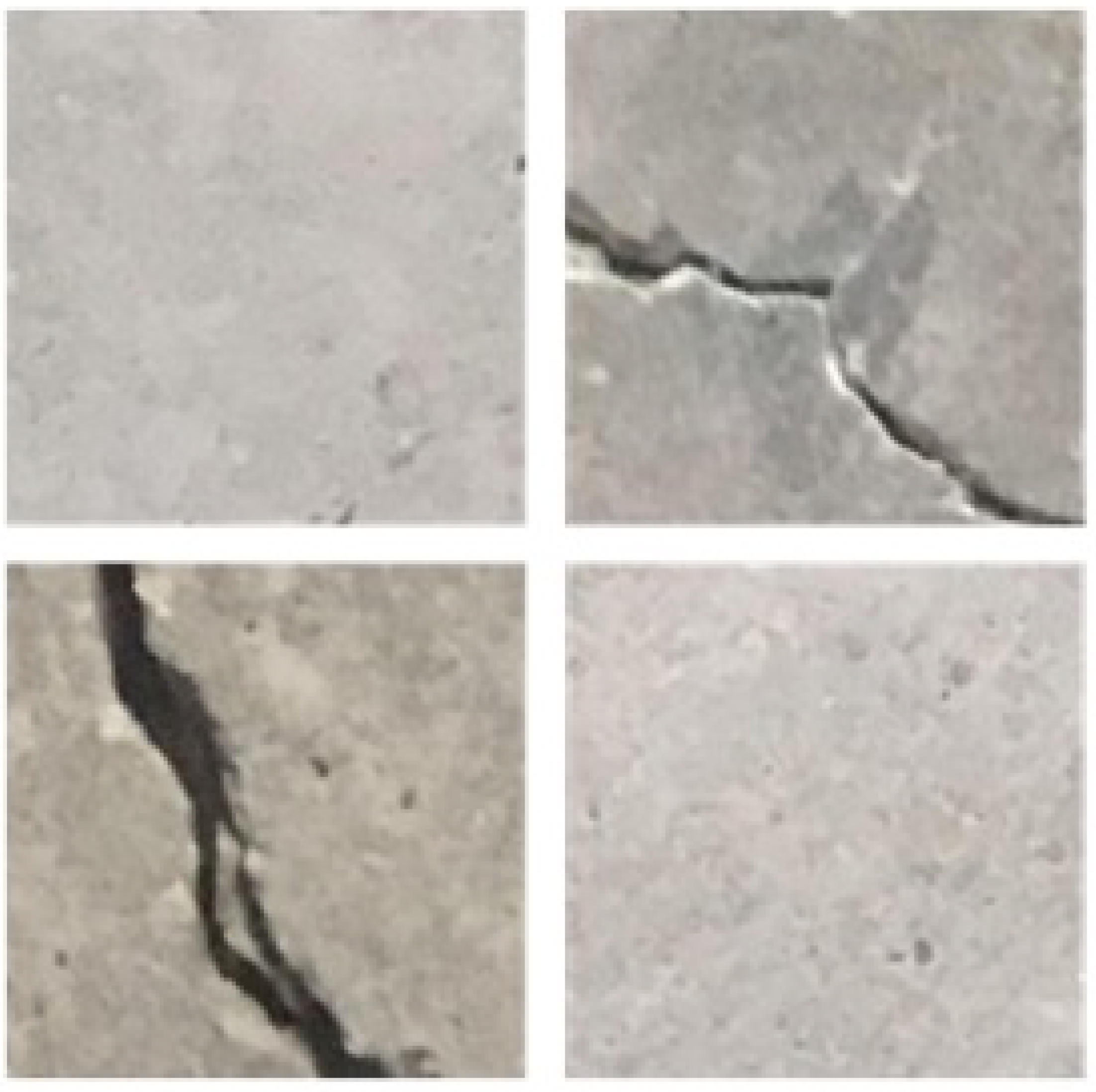 Applsci 13 05763 g009