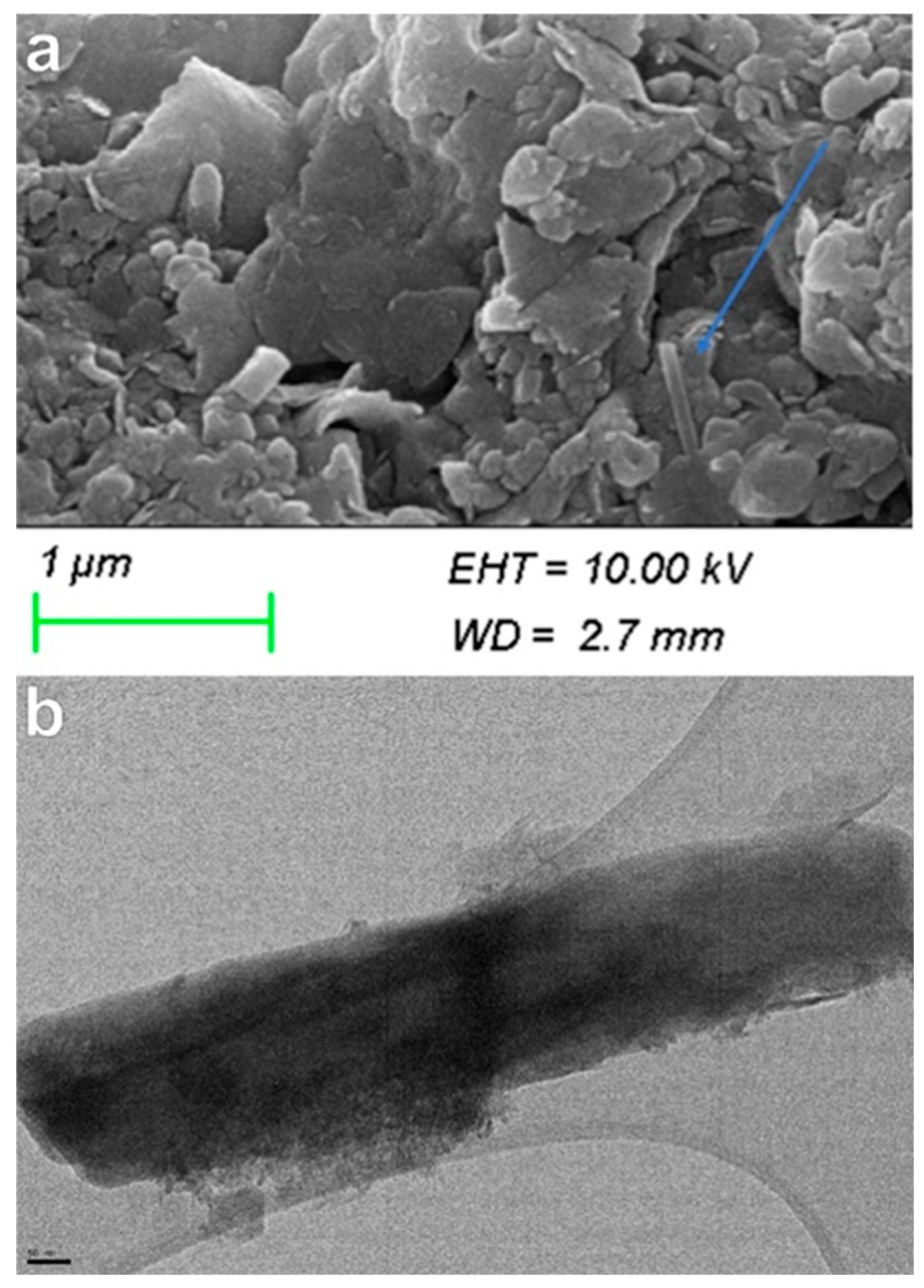 Applsci 13 05772 g007