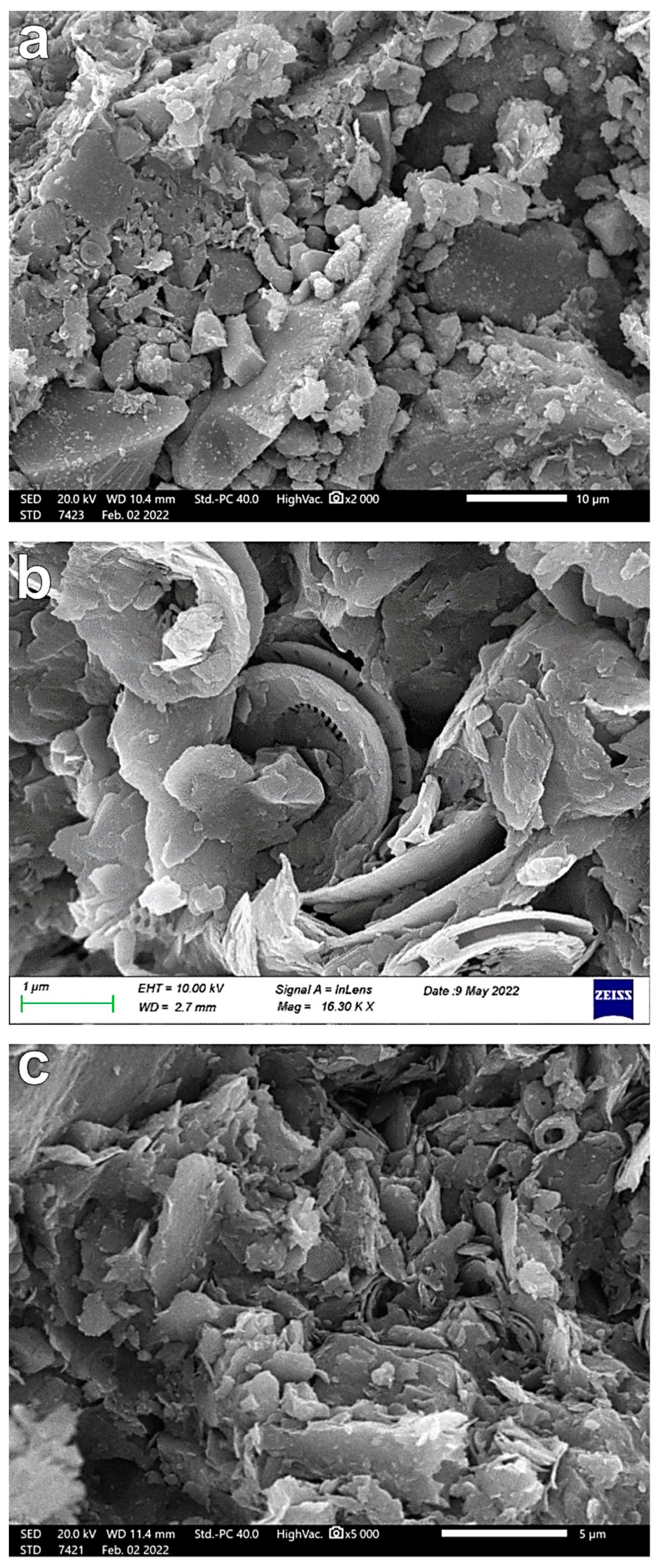 Applsci 13 05772 g008