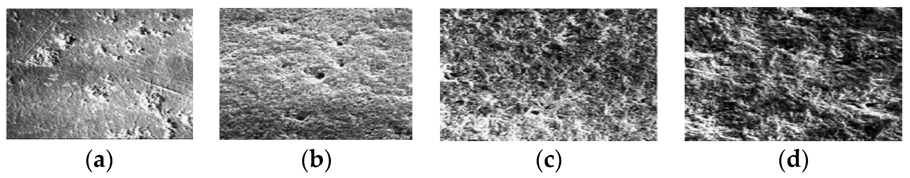 Applsci 13 05796 g013