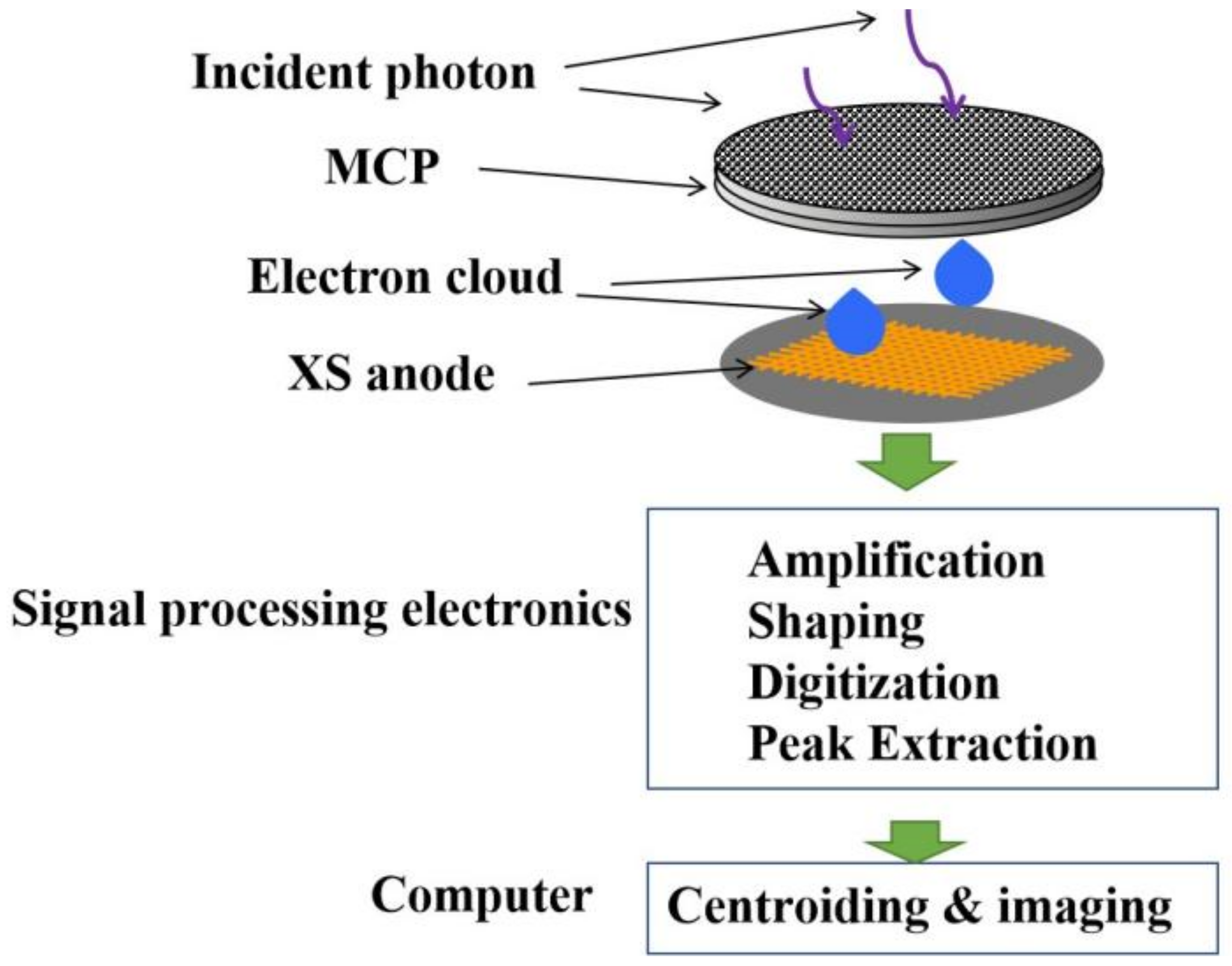 Applsci 13 05798 g001