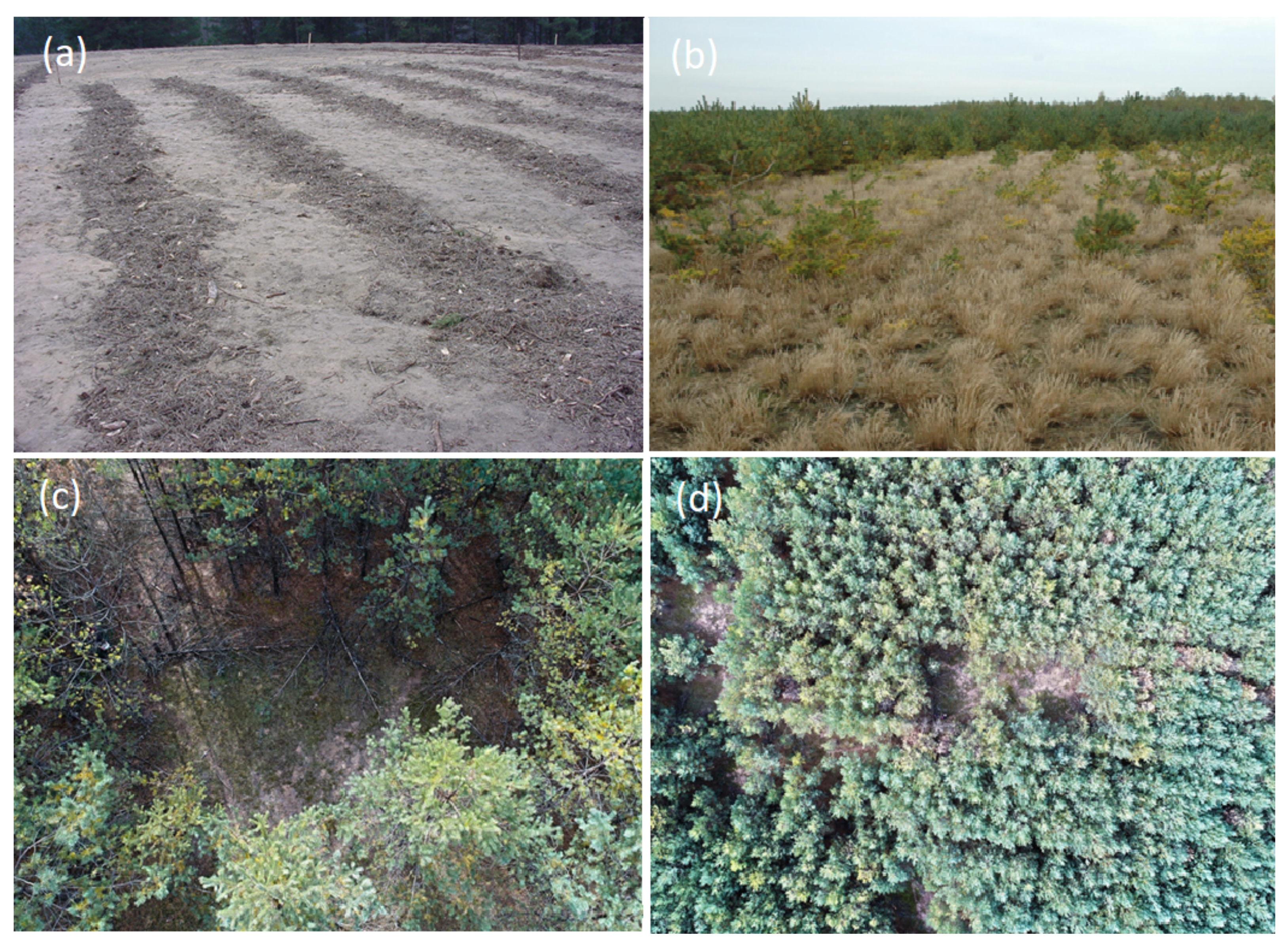 Applsci 13 05800 g001