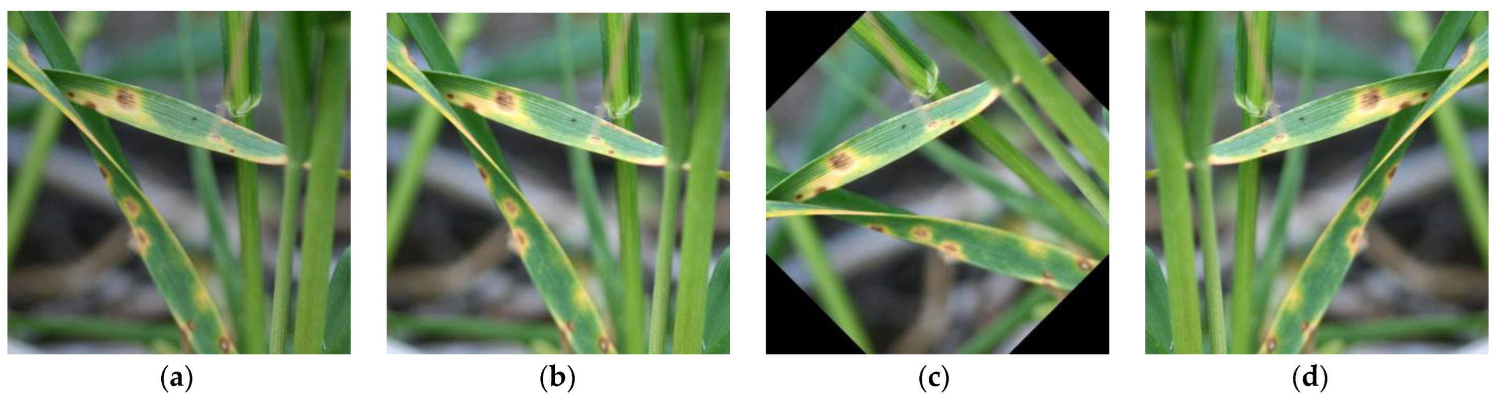 Applsci 13 05801 g002