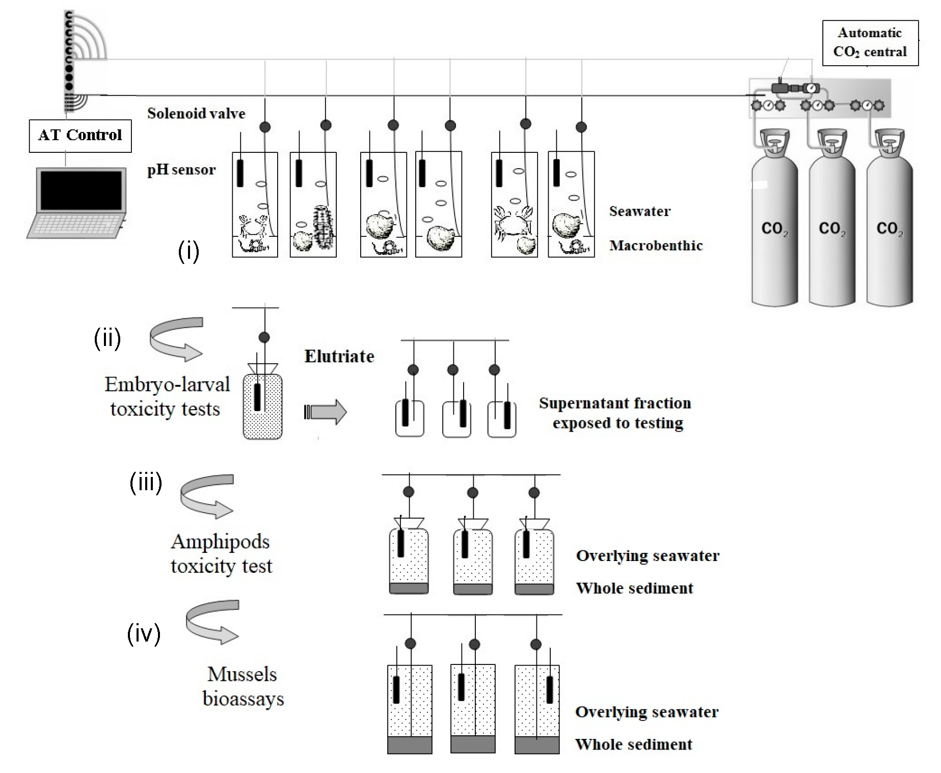 Applsci 13 05805 g002