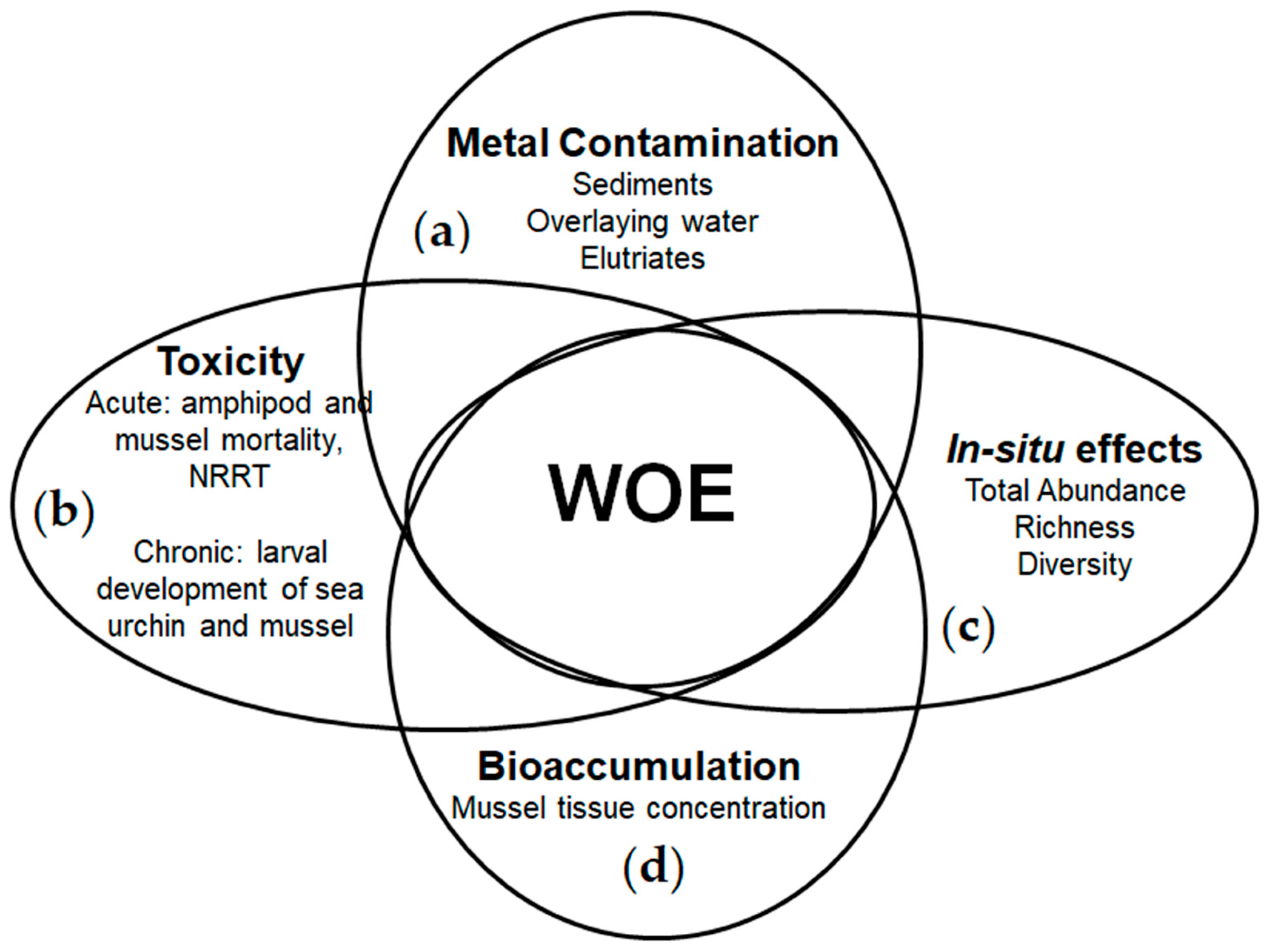 Applsci 13 05805 g003