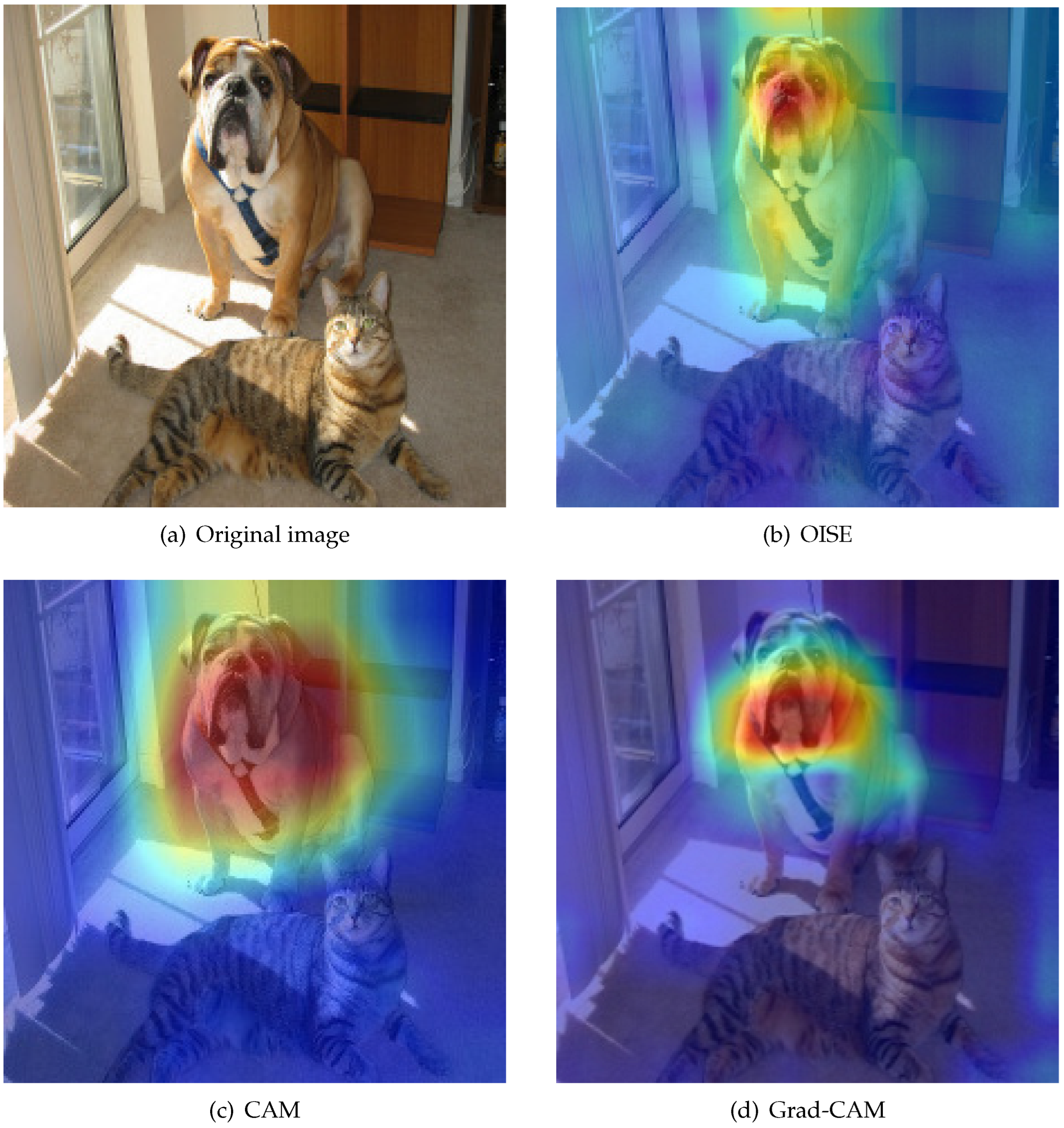 Applsci 13 05886 g004 Applsci 13 05886 g004