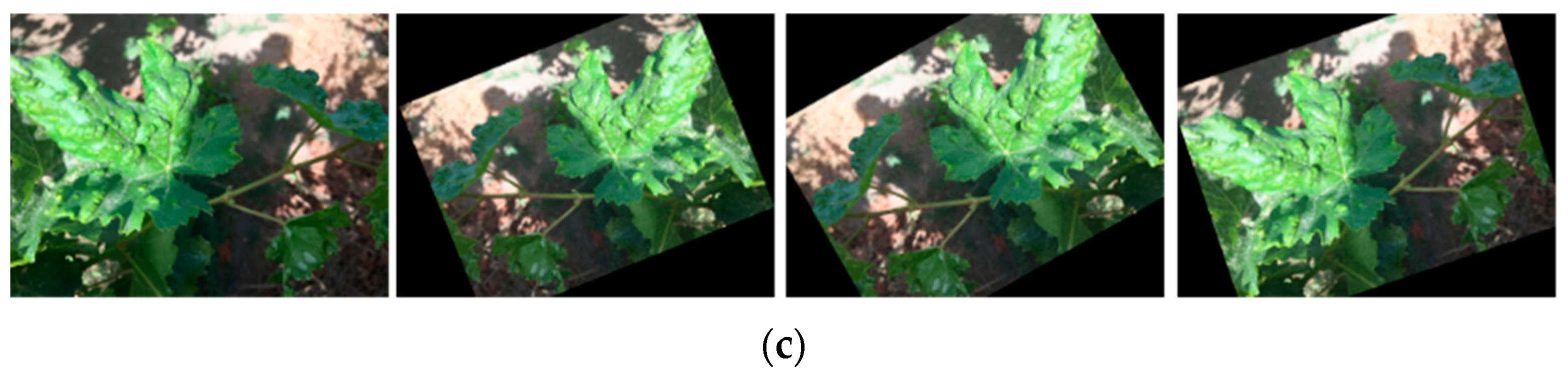 Applsci 13 05978 g011b