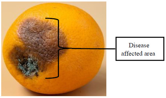 Applsci 13 05982 g014