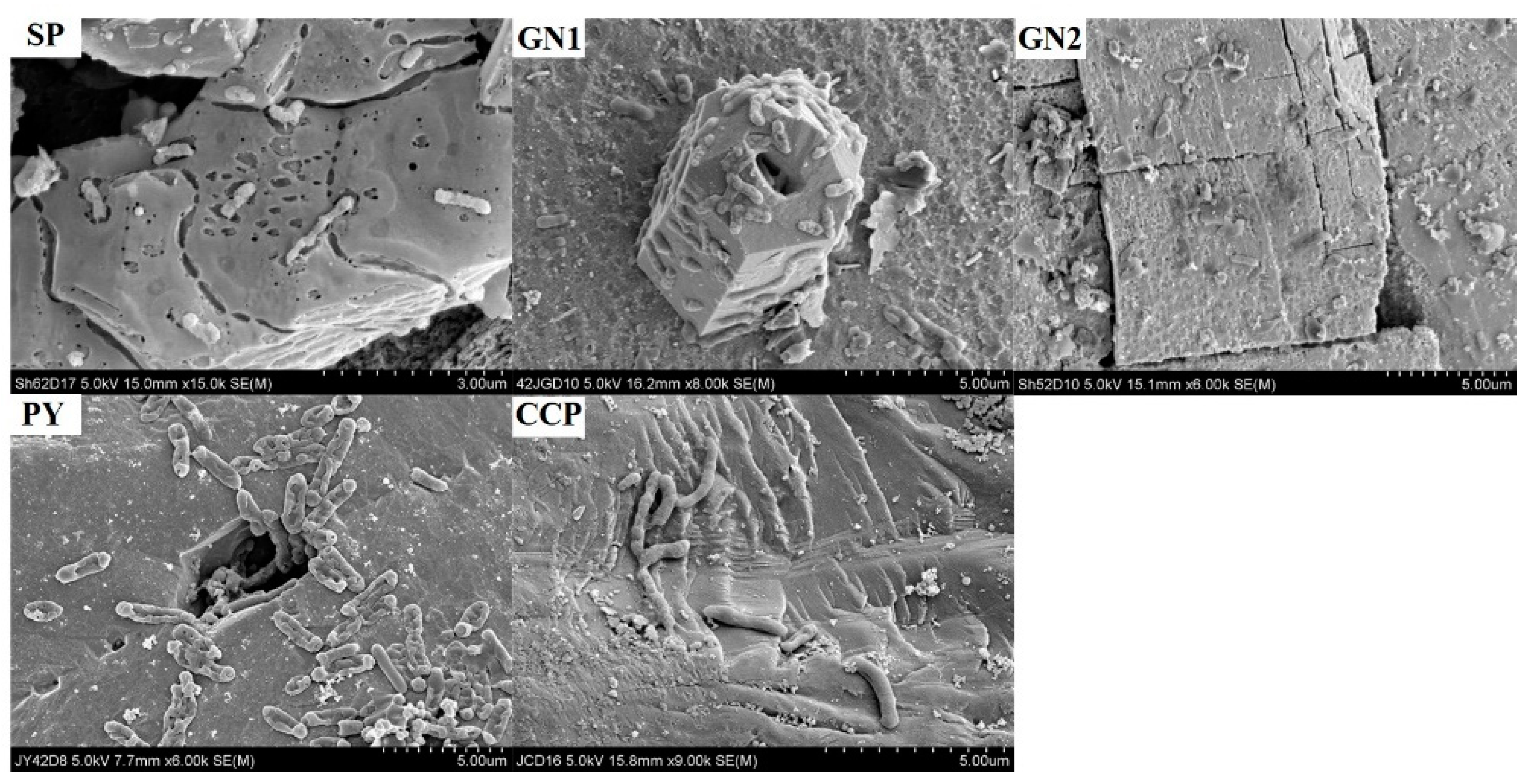 Applsci 13 05997 g006