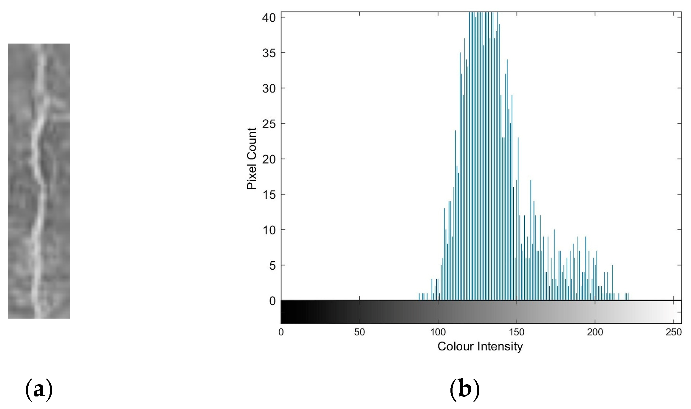 Applsci 13 06000 g013