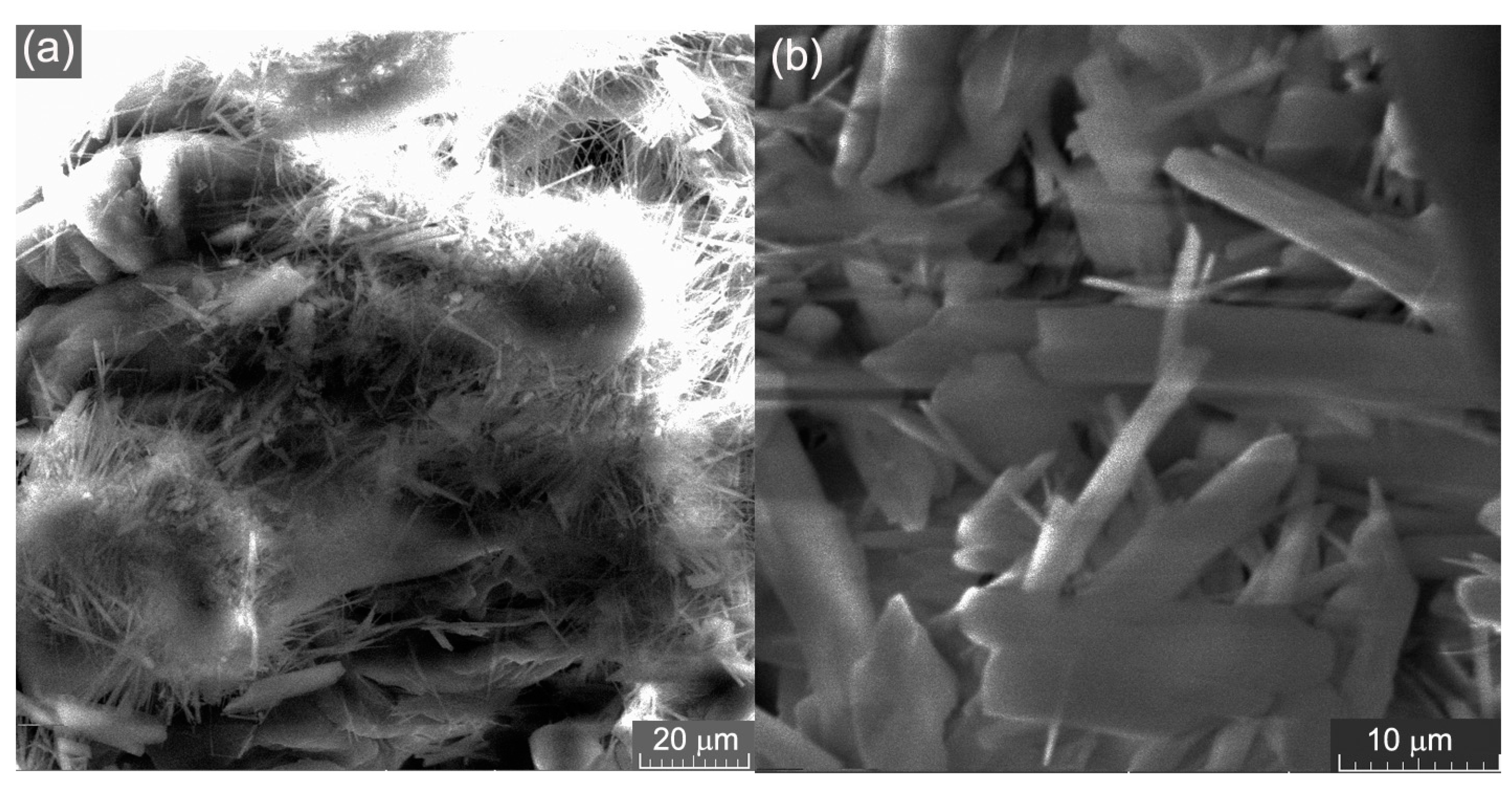 Applsci 13 06021 g002