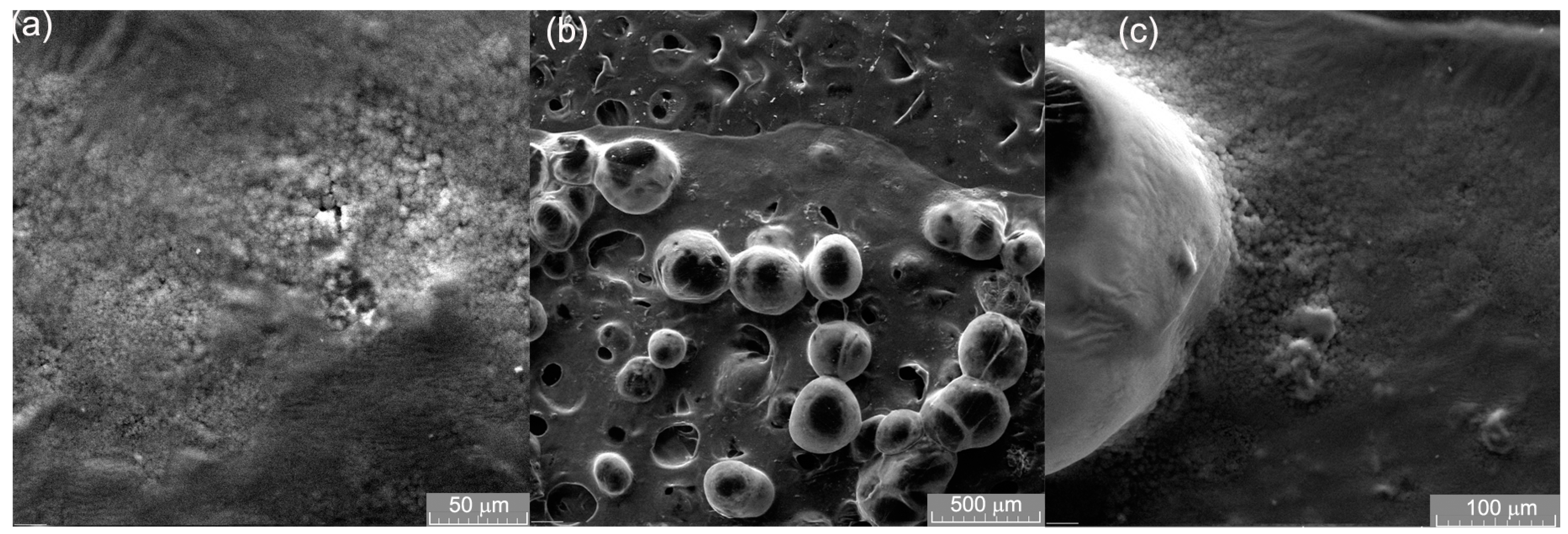 Applsci 13 06021 g003