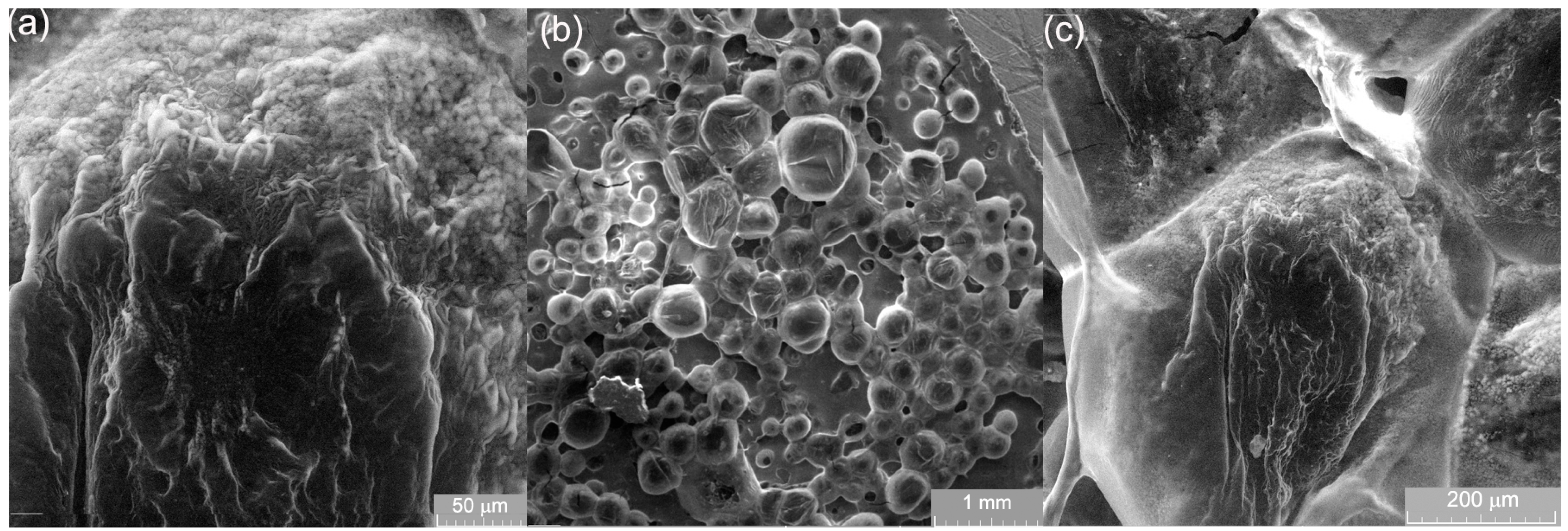 Applsci 13 06021 g004