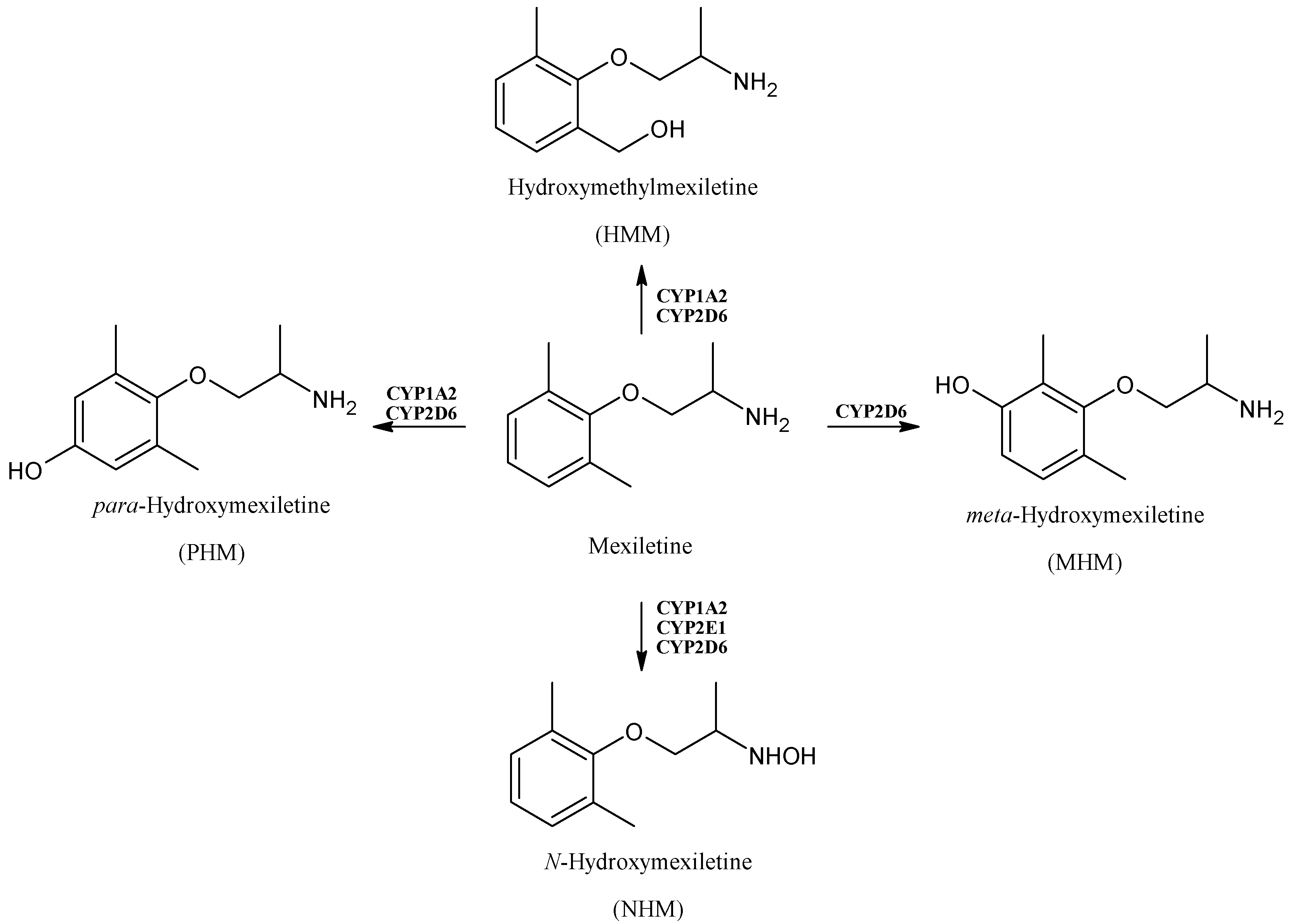 Applsci 13 06045 g003