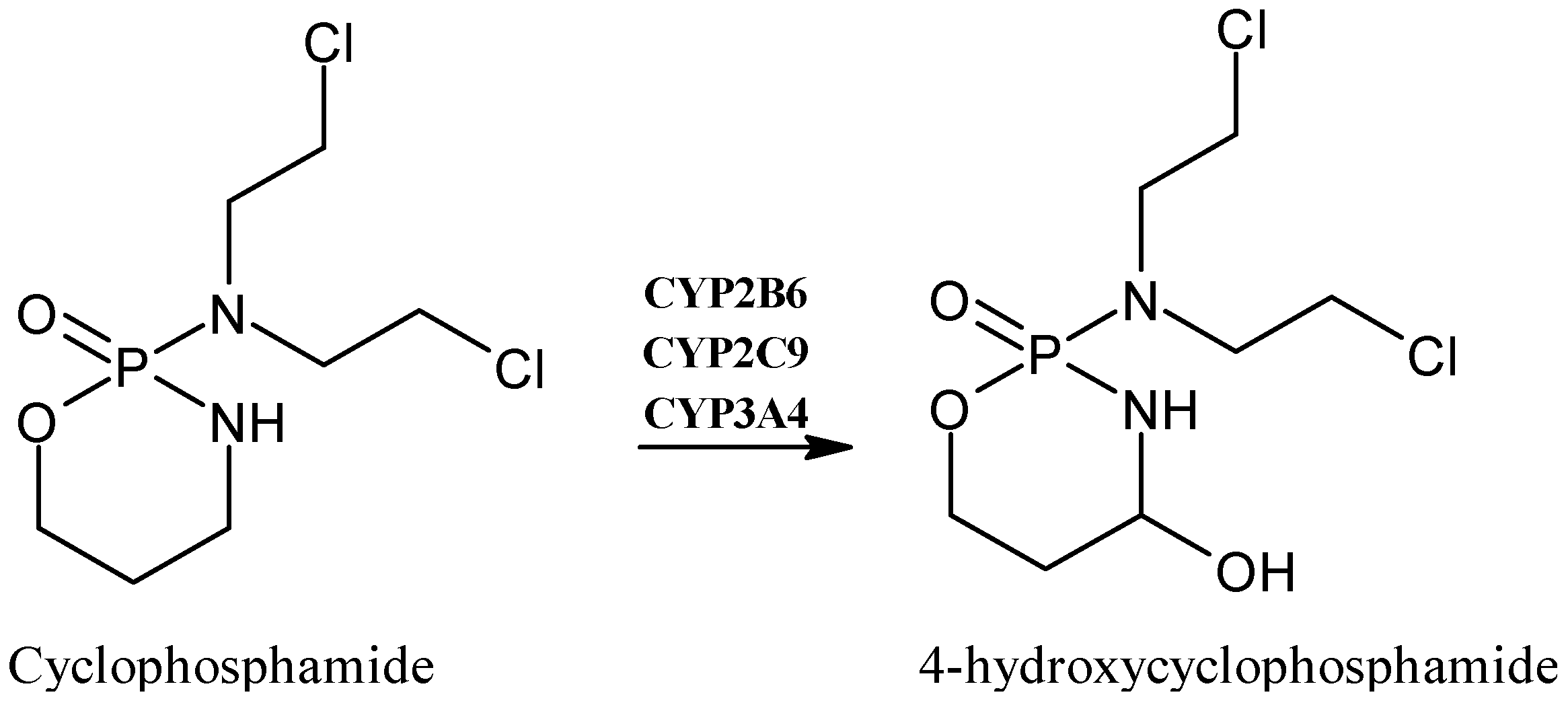 Applsci 13 06045 g006