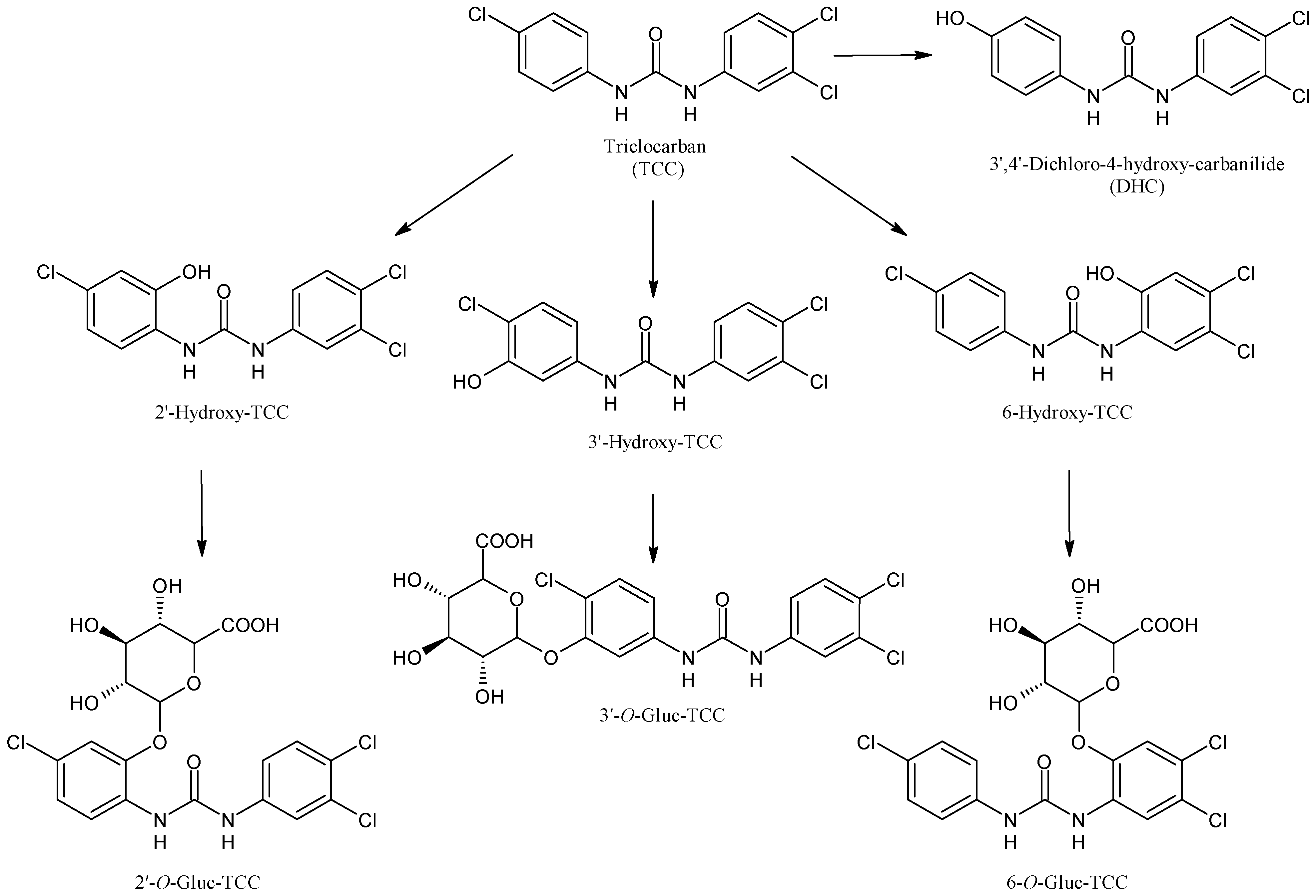 Applsci 13 06045 g007