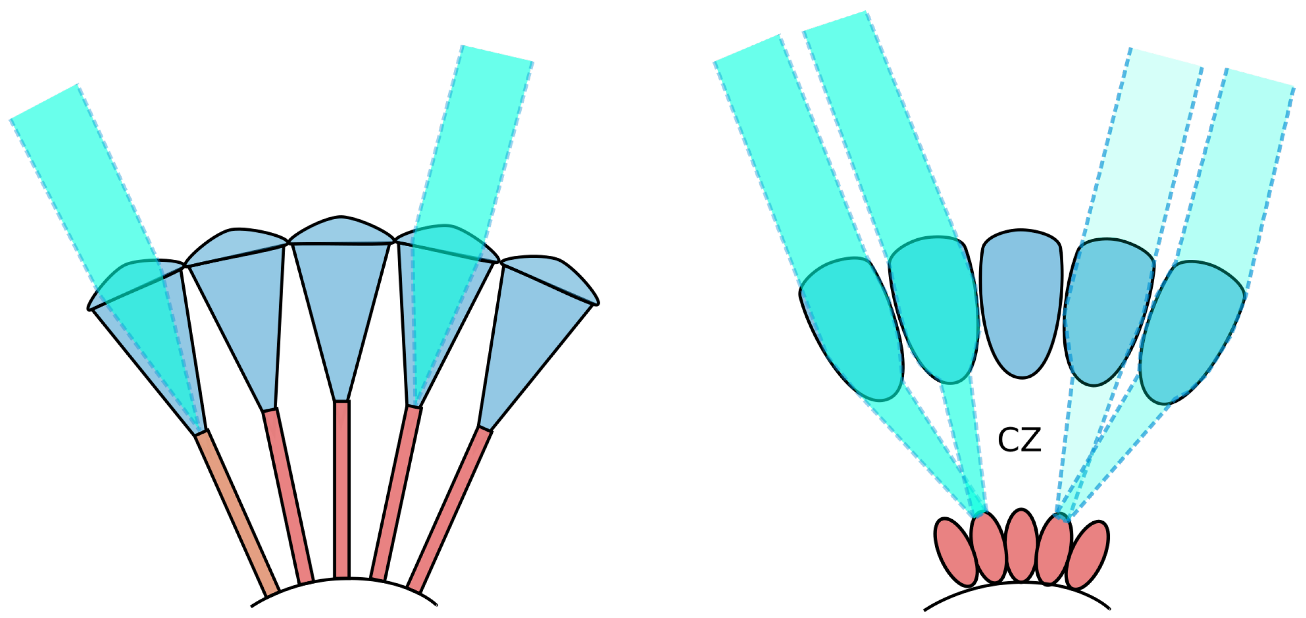 Applsci 13 06062 g003