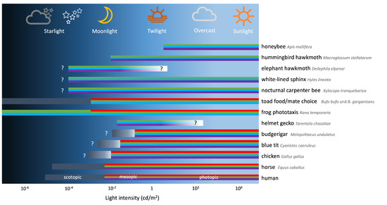 Applsci 13 06062 g0a2