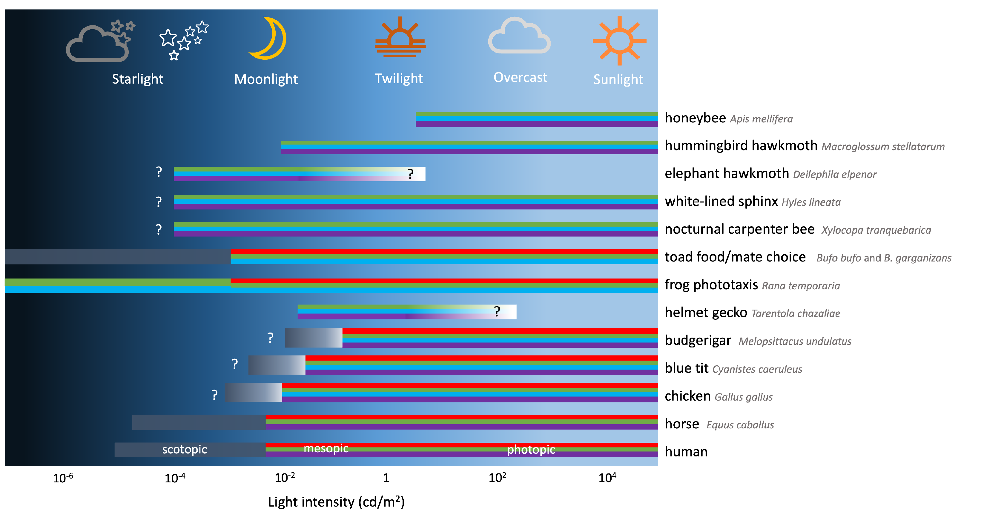 Applsci 13 06062 g0a2