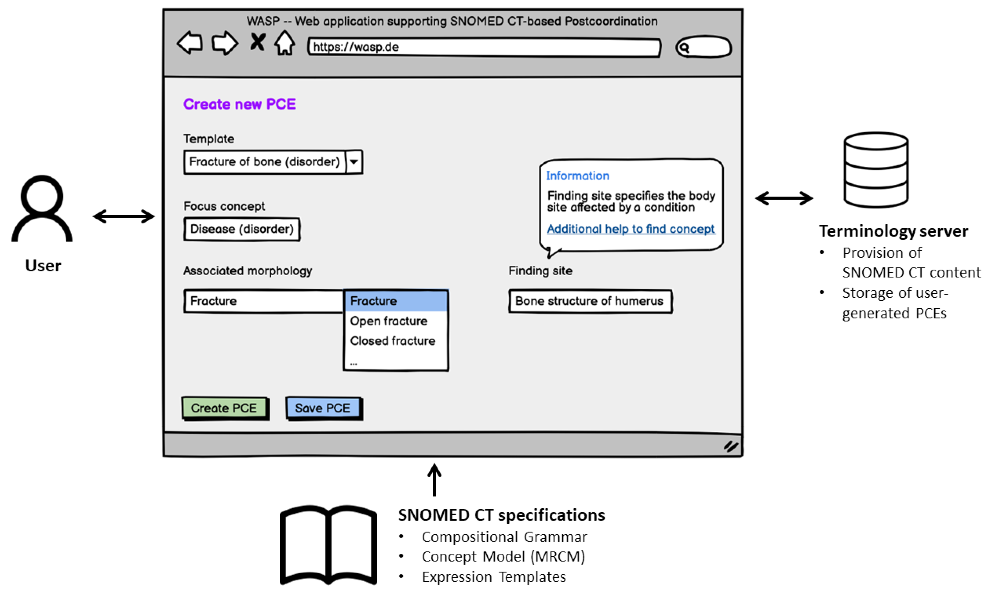 Applsci 13 06114 g001