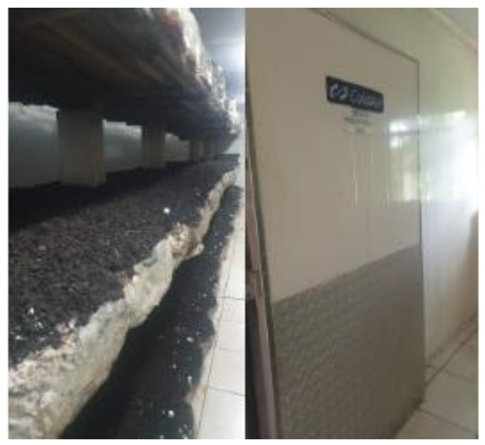 Applsci 13 06129 g004