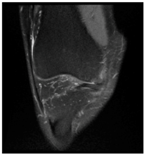 Applsci 13 06132 i008