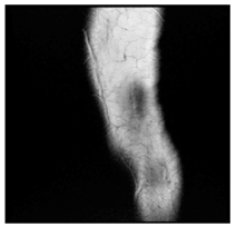 Applsci 13 06132 i010