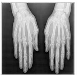 Applsci 13 06132 i015