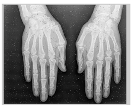 Applsci 13 06132 i018